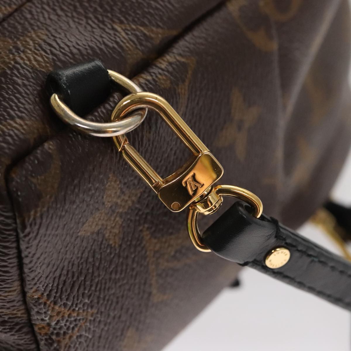 Louis Vuitton Palm Springs mini