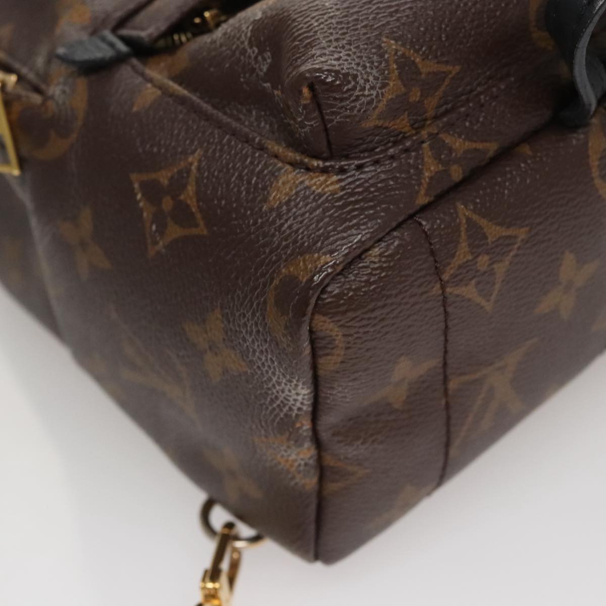 Louis Vuitton Palm Springs mini