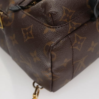Louis Vuitton Palm Springs mini
