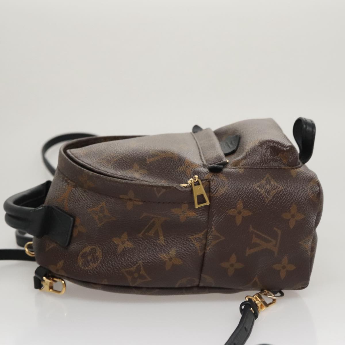 Louis Vuitton Palm Springs mini
