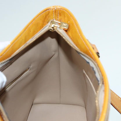 Louis Vuitton Houston