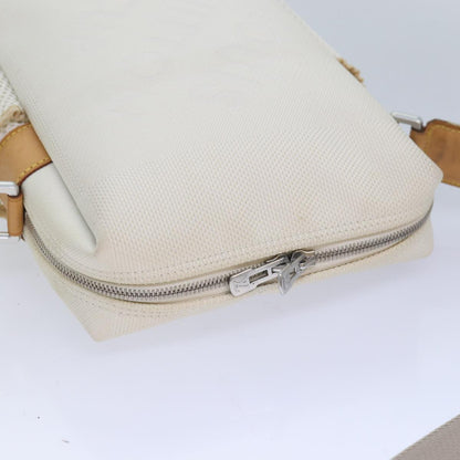 Louis Vuitton Weathery