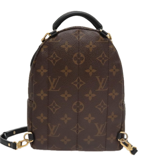 Louis Vuitton Palm Springs mini