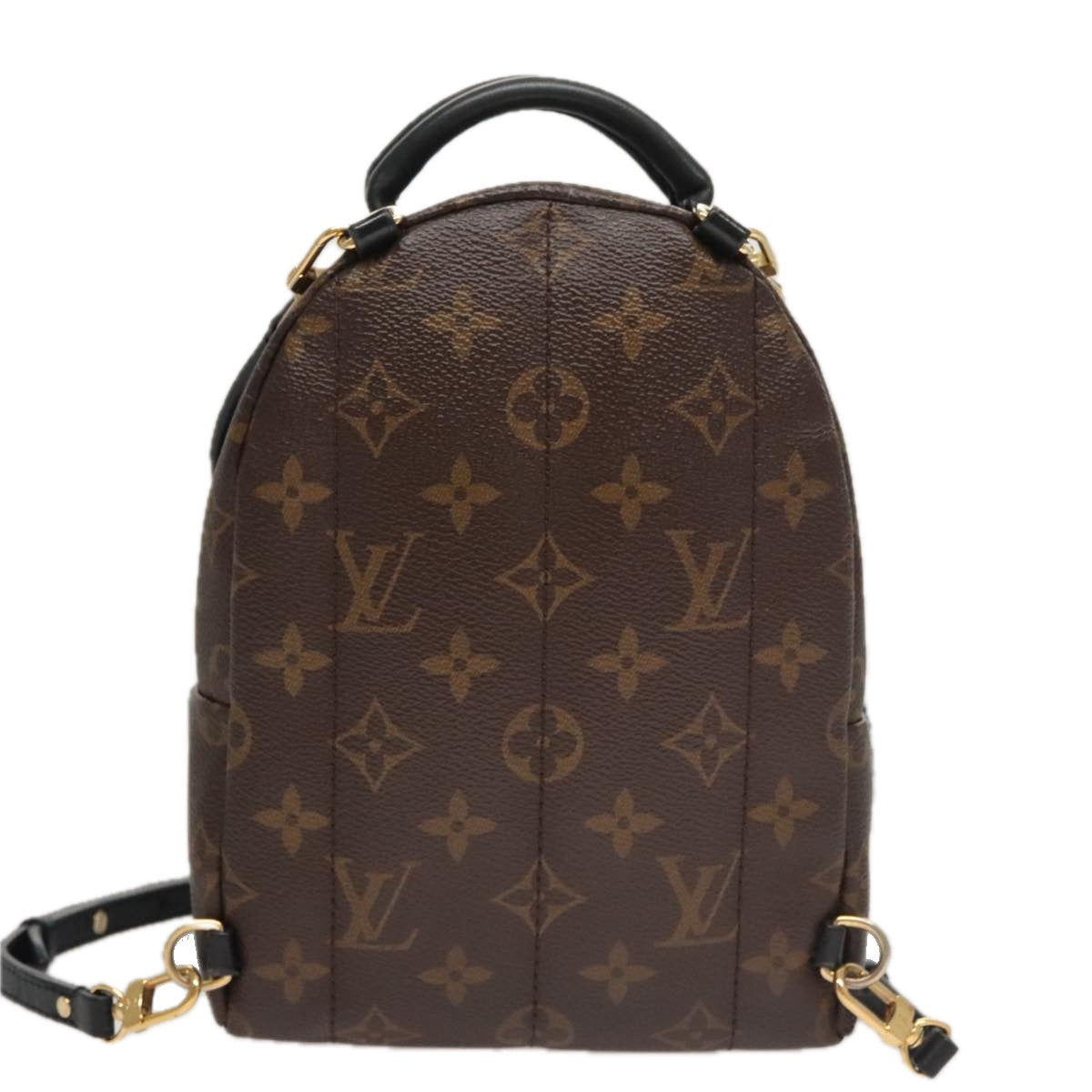 Louis Vuitton Palm Springs mini