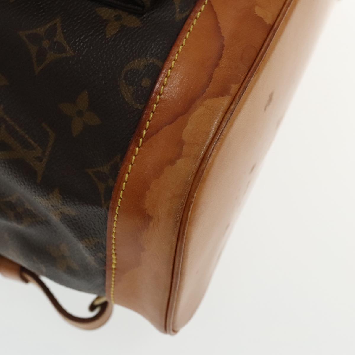Louis Vuitton Montsouris GM