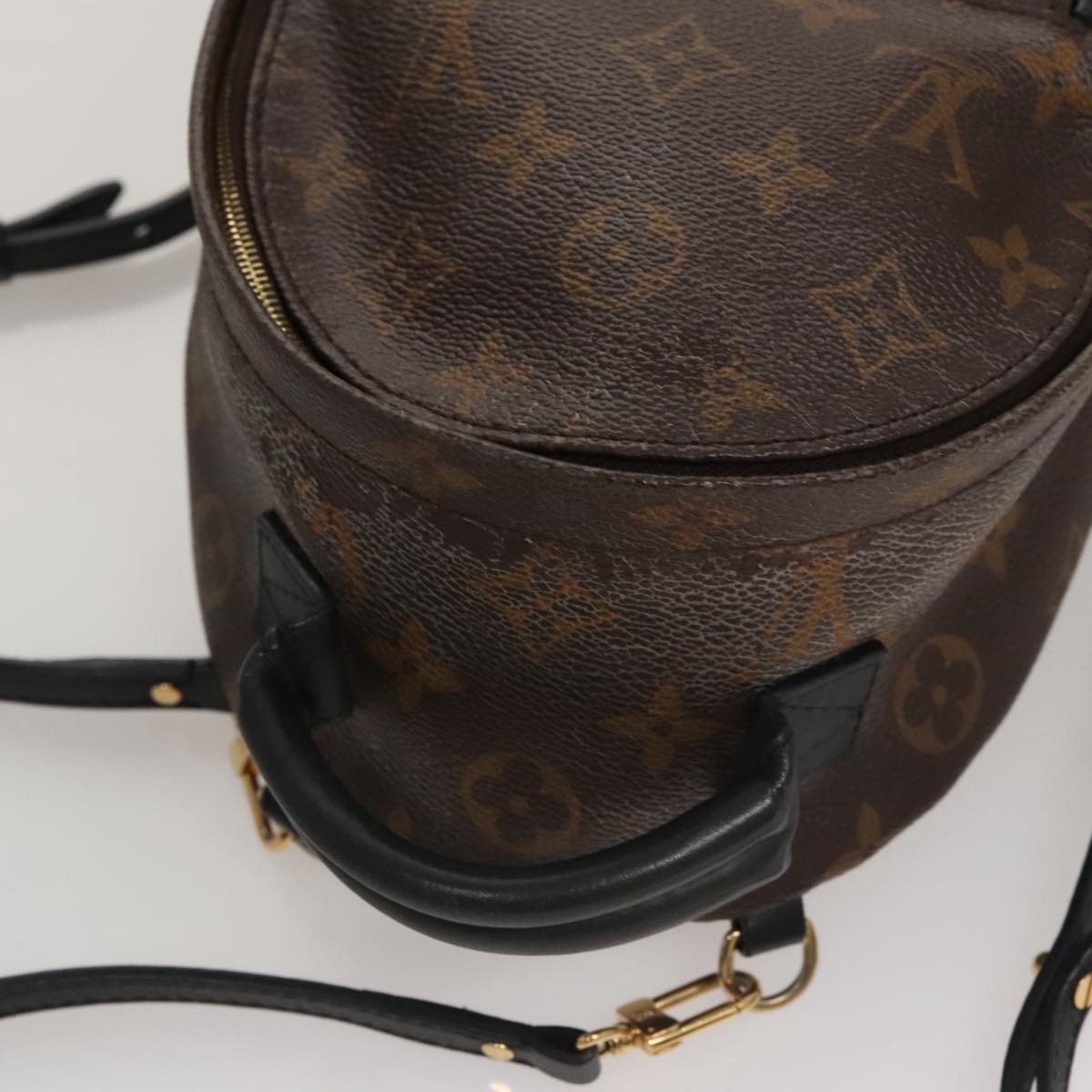 Louis Vuitton Palm Springs mini