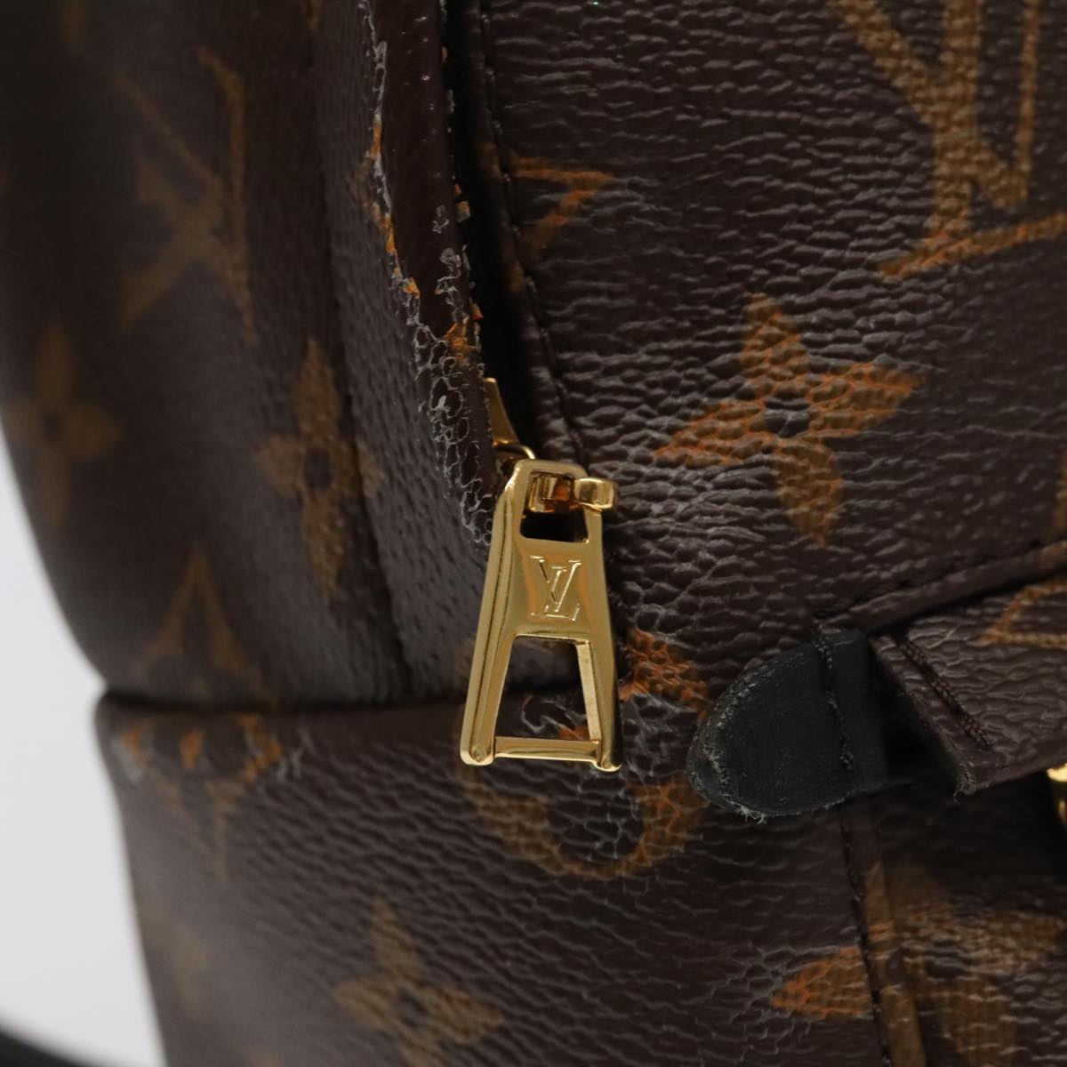 Louis Vuitton Palm Springs mini