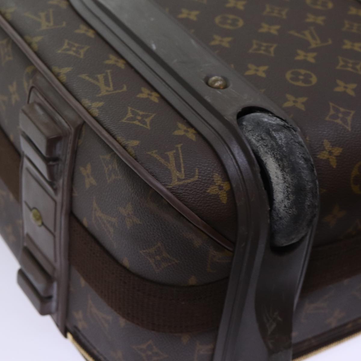 Louis Vuitton Pegase