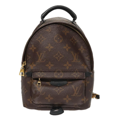 Louis Vuitton Palm Springs mini
