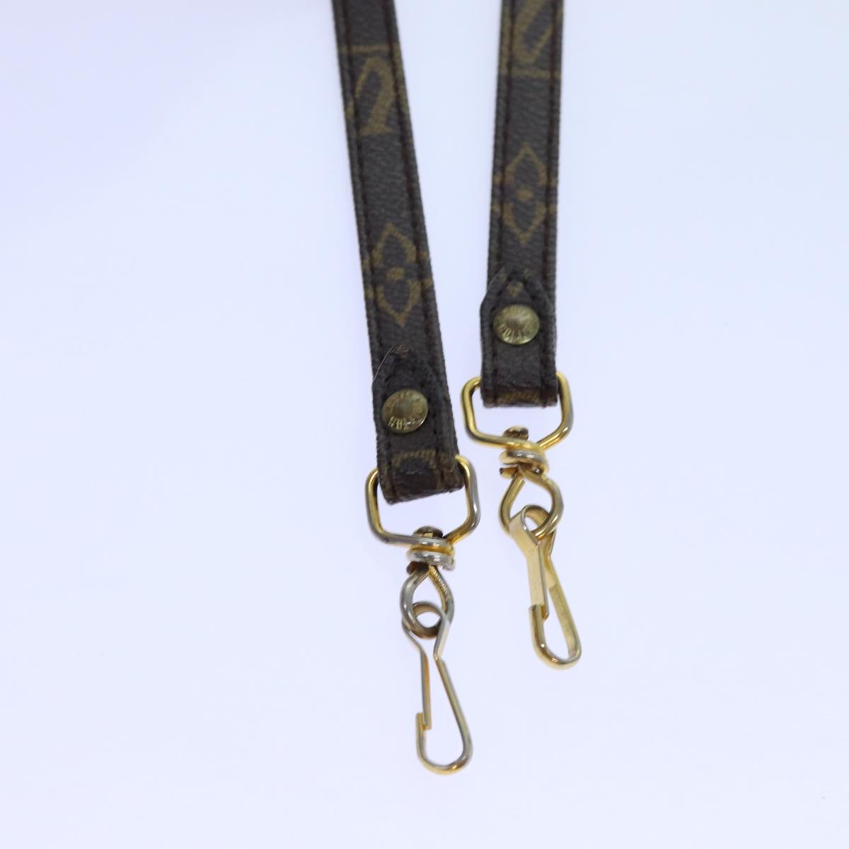 Louis Vuitton Monogram