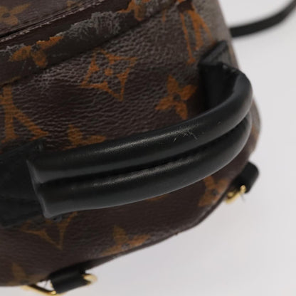 Louis Vuitton Palm Springs mini
