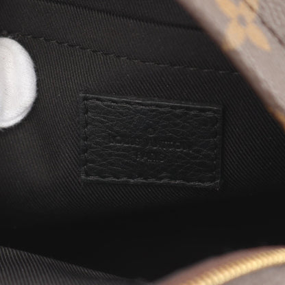 Louis Vuitton Palm Springs Mini Monogram Coated Canvas Backpack
