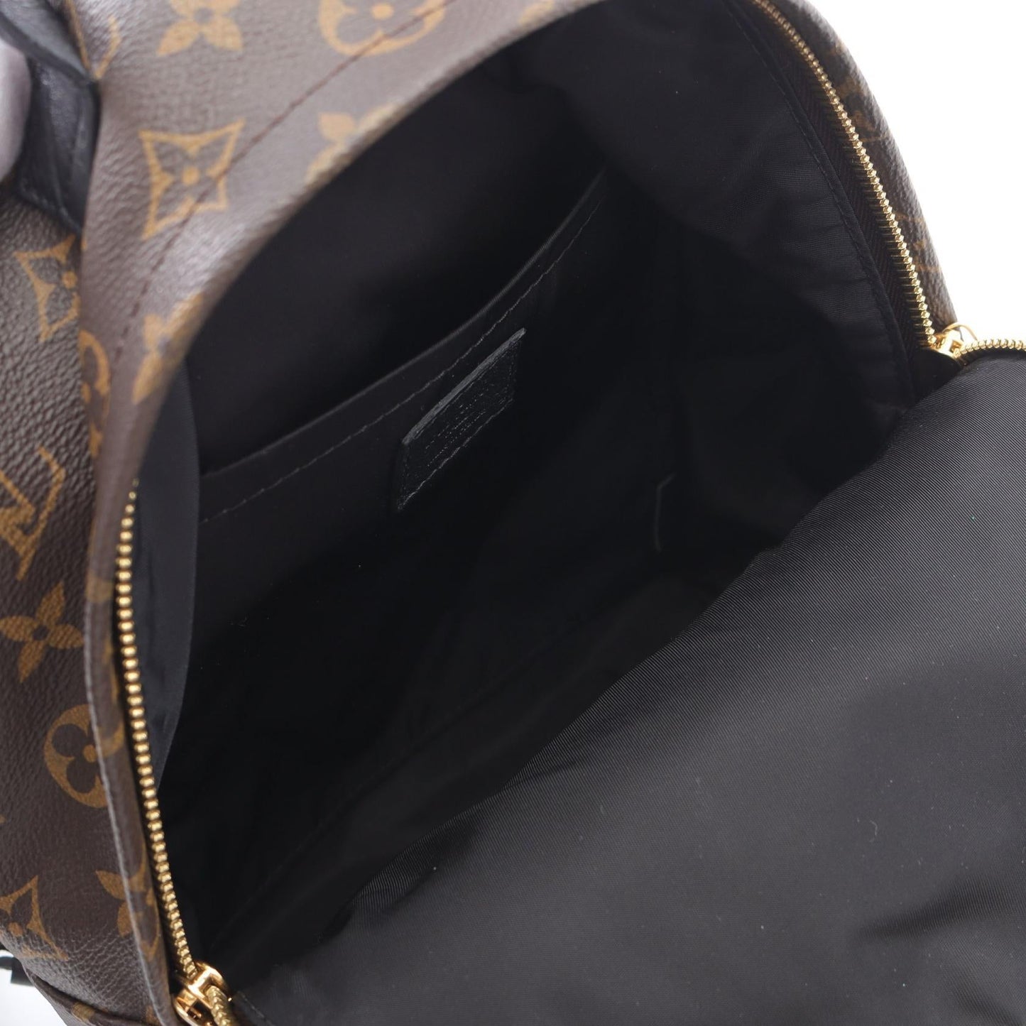 Louis Vuitton Palm Springs PM Monogram Coated Canvas Backpack