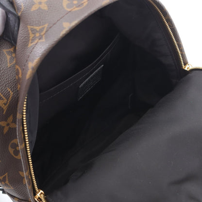 Louis Vuitton Palm Springs PM Monogram Coated Canvas Backpack