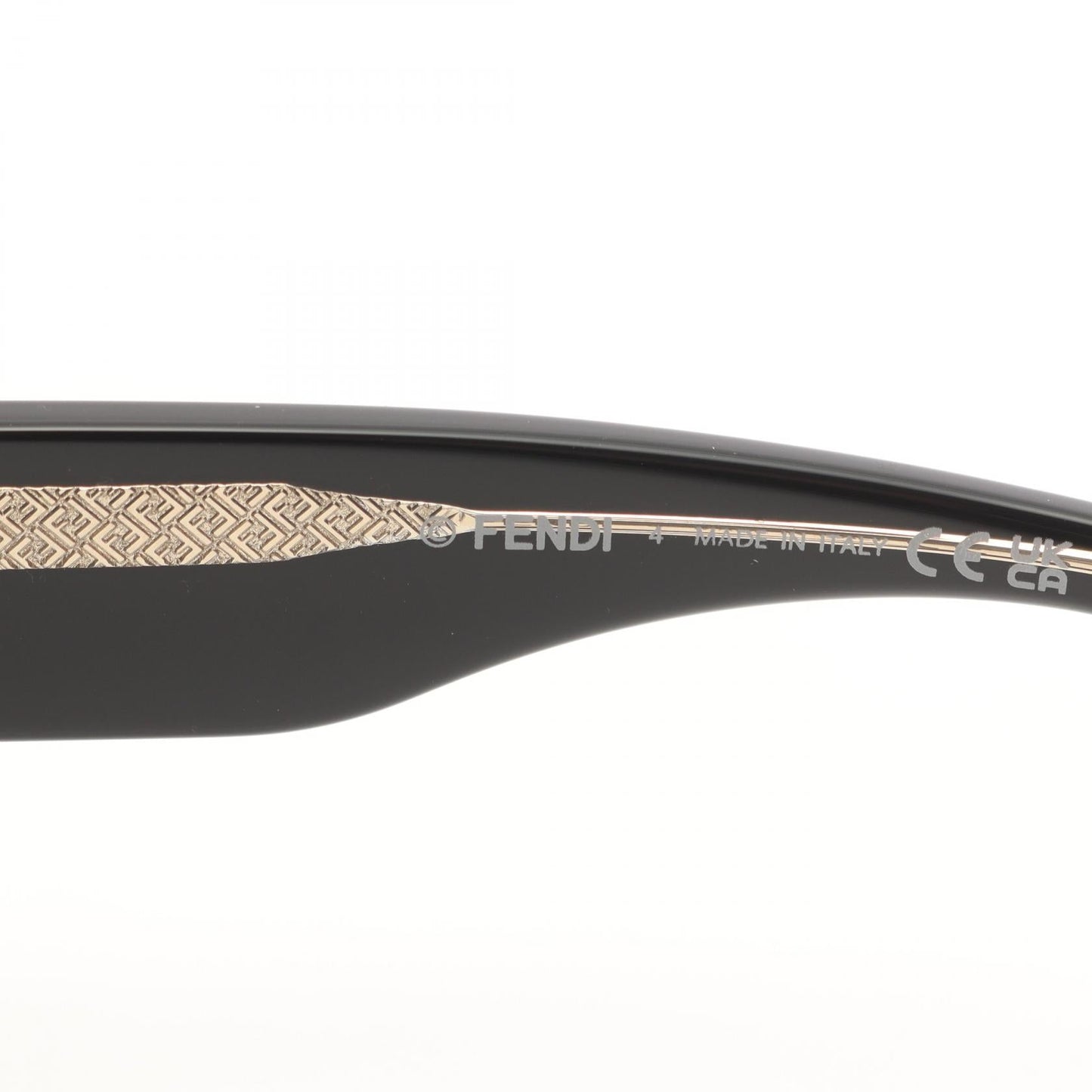 Fendi ROMA Acetate Sunglasses
