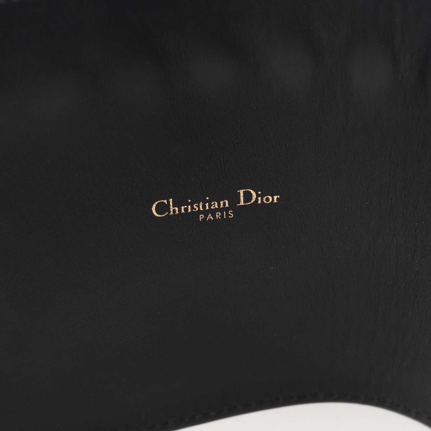 Dior SADDLE Leather Belt