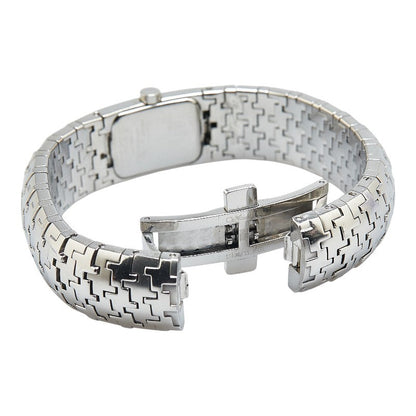 Dior Diofilic Stainless Steel