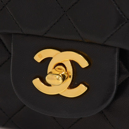 Chanel Double Flap Quilted Leather Bag