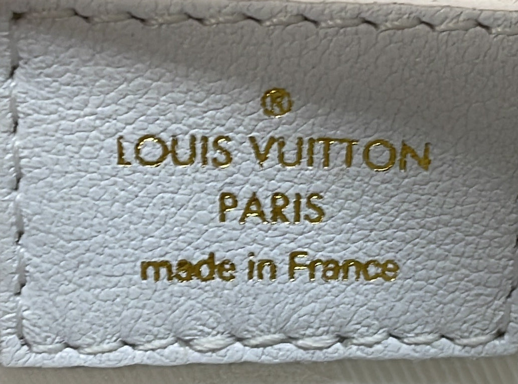 Louis Vuitton Over The Moon Bag Bubblegram Leather