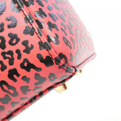 Christian Dior Lady Dior Leather Bag