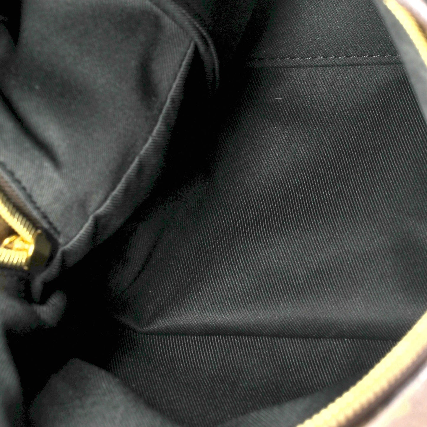 Louis Vuitton Palm Springs Backpack Monogram Canvas PM