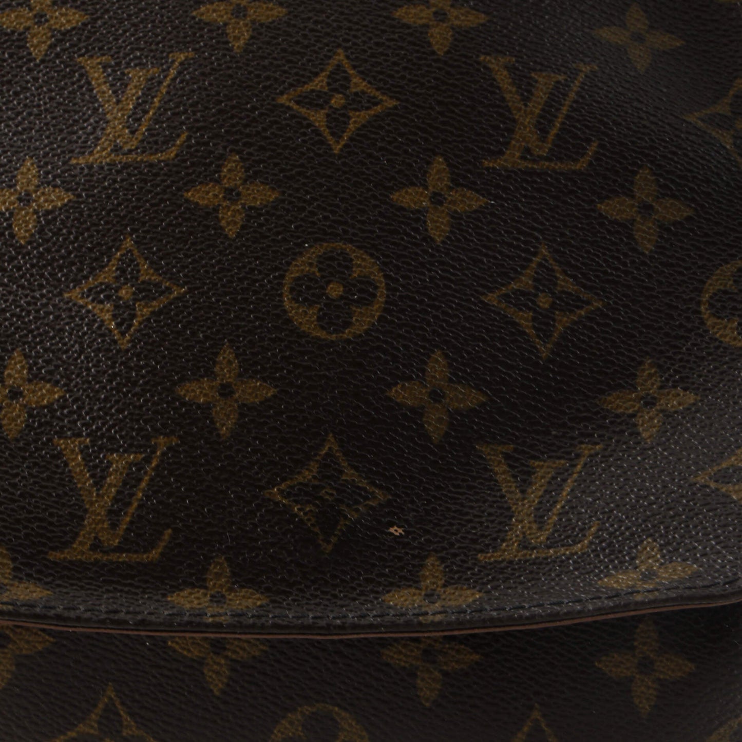 Louis Vuitton Musette Salsa Handbag Monogram Canvas PM