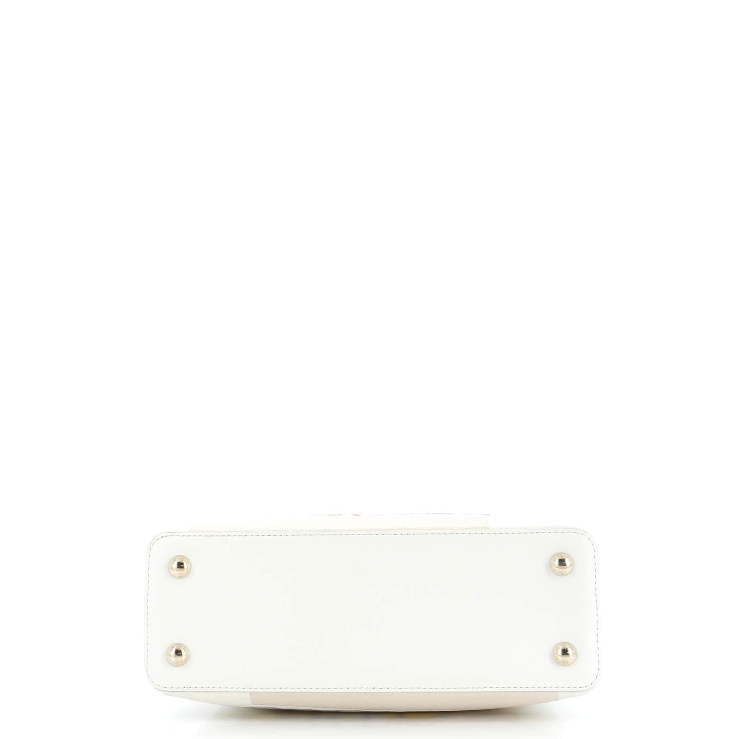 Louis Vuitton Paola Pivi ArtyCapucines Bag Printed Leather MM