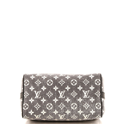 Louis Vuitton Speedy Bandouliere Bag Monogram Jacquard Denim 25