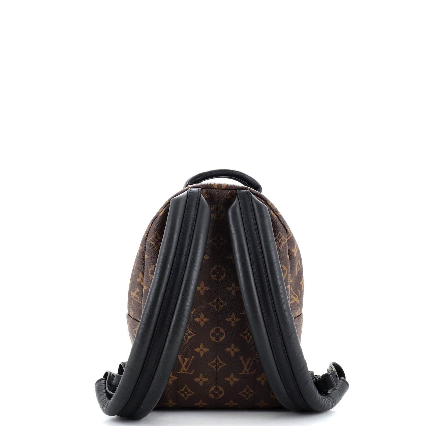 Louis Vuitton Palm Springs Backpack Monogram Canvas PM