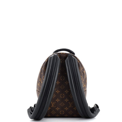 Louis Vuitton Palm Springs Backpack Monogram Canvas PM