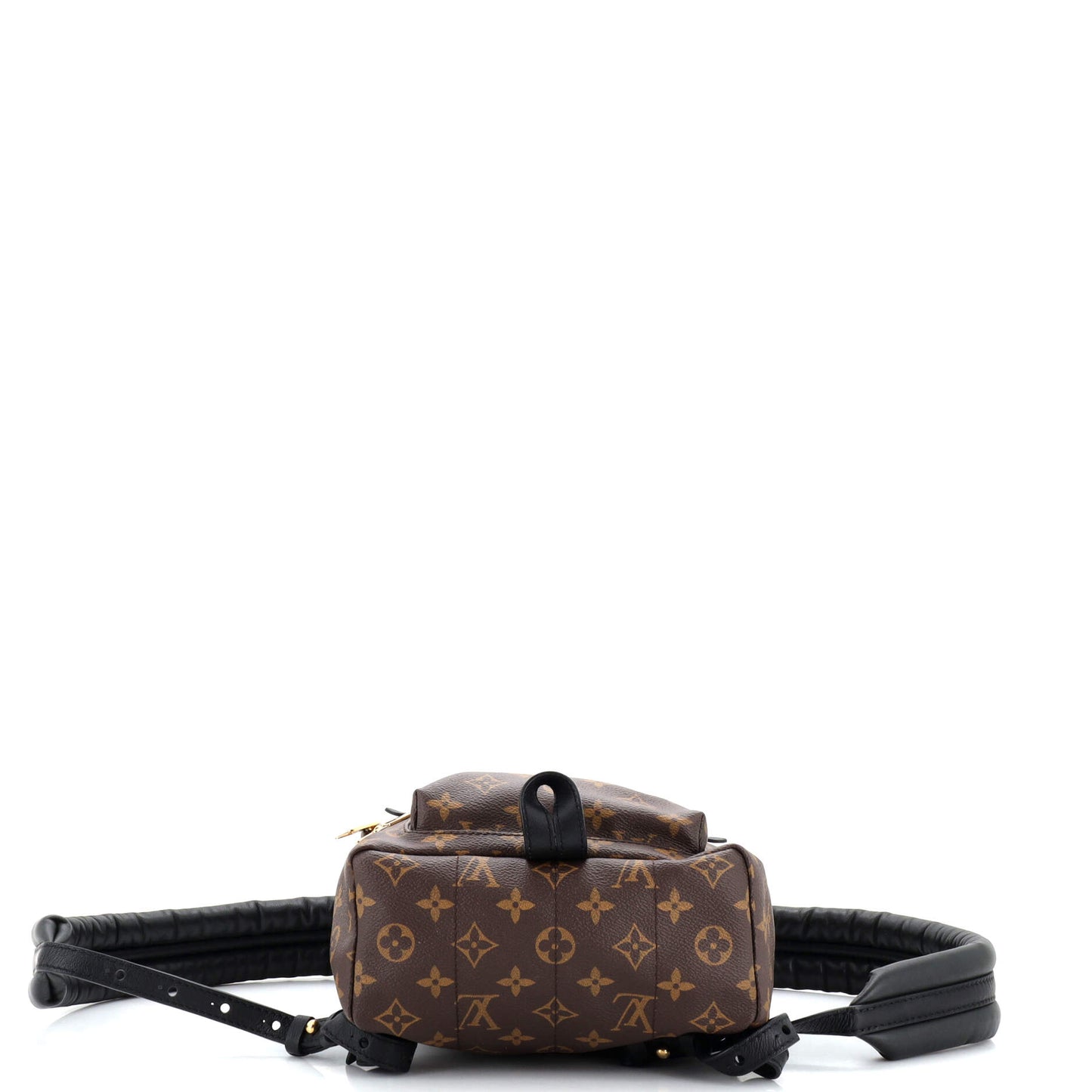Louis Vuitton Palm Springs Backpack Monogram Canvas PM