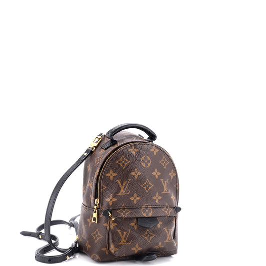Louis Vuitton Palm Springs Backpack Monogram Canvas Mini
