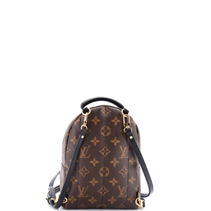 Louis Vuitton Palm Springs Backpack Monogram Canvas Mini