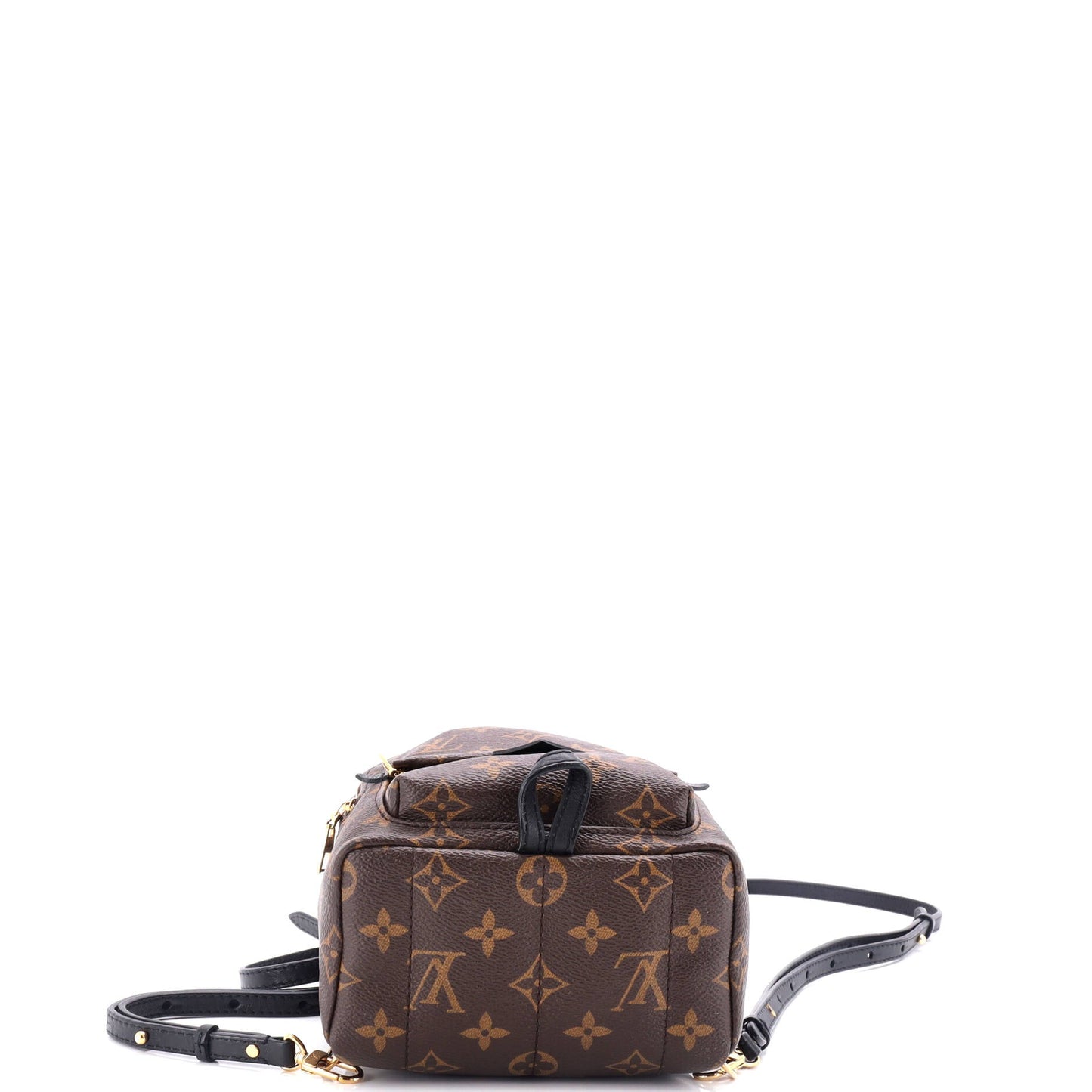 Louis Vuitton Palm Springs Backpack Monogram Canvas Mini