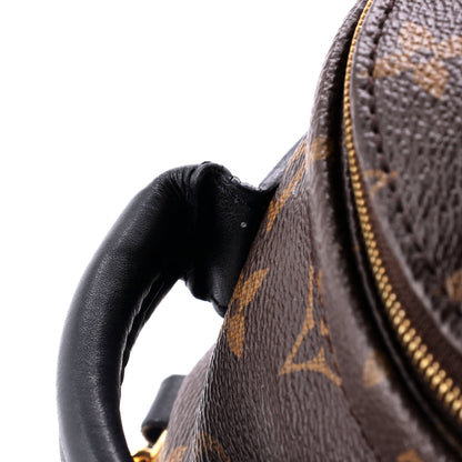 Louis Vuitton Palm Springs Backpack Monogram Canvas Mini