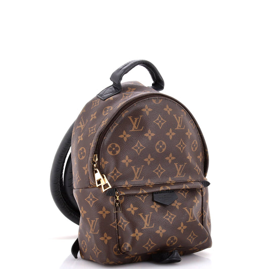 Louis Vuitton Palm Springs Backpack Monogram Canvas PM