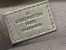 Louis Vuitton Palm Springs Backpack Monogram Canvas PM