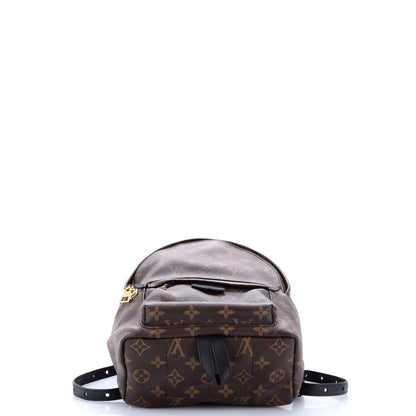 Louis Vuitton Palm Springs Backpack Monogram Canvas PM