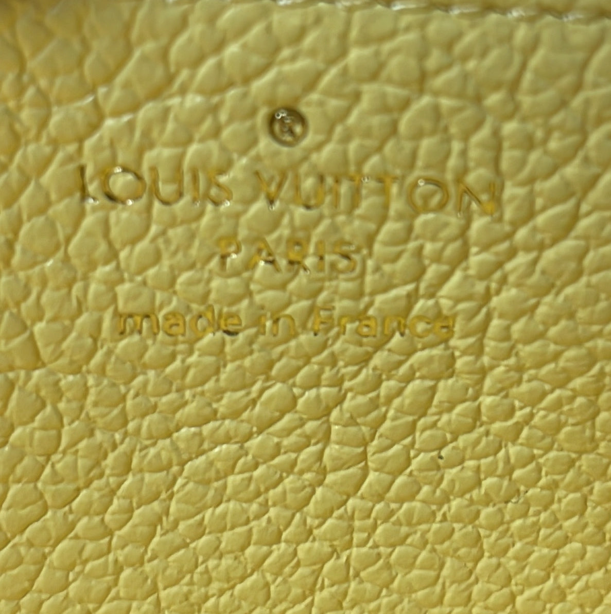 Louis Vuitton Zippy Wallet Spring in the City Monogram Empreinte Leather