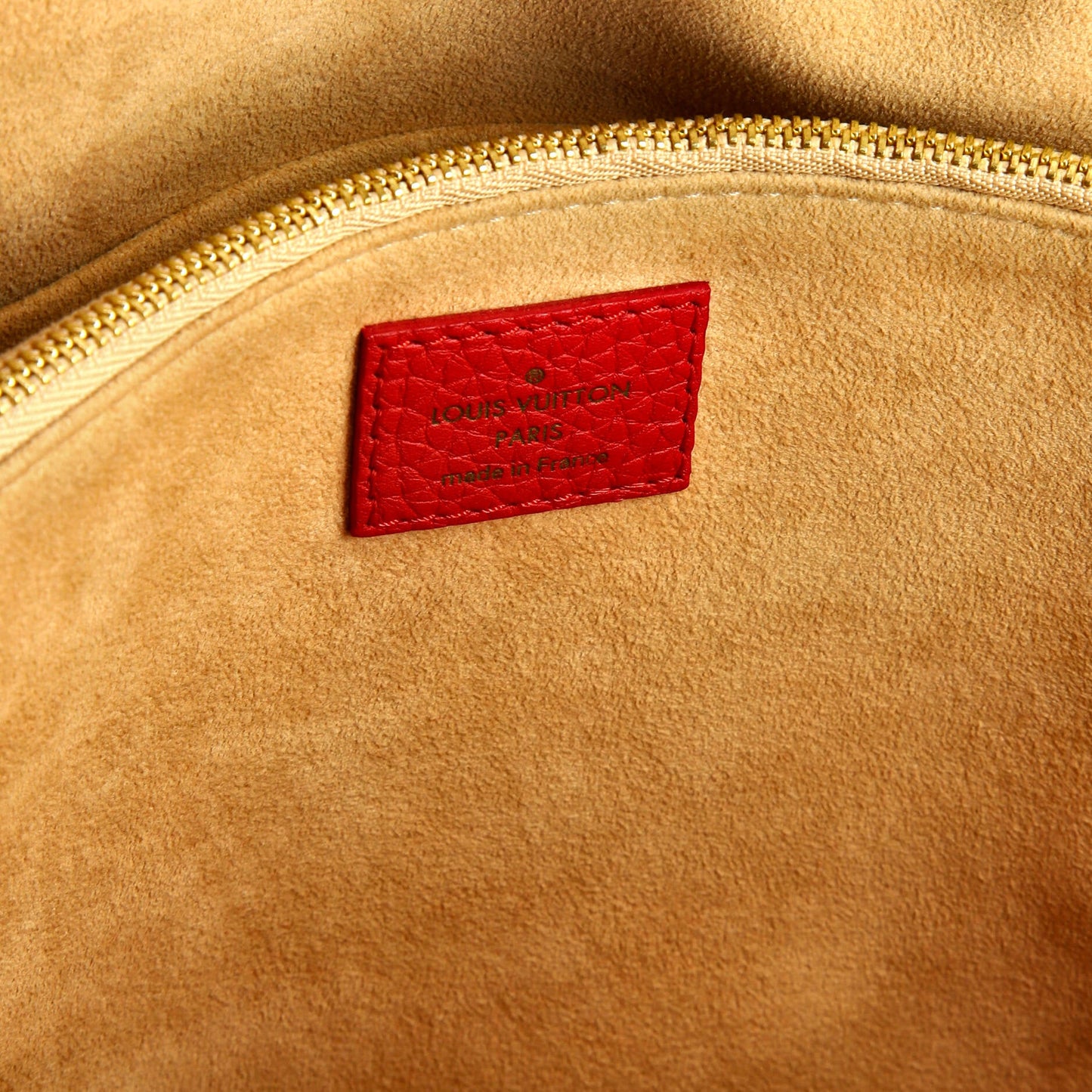 Louis Vuitton Volta Handbag Leather