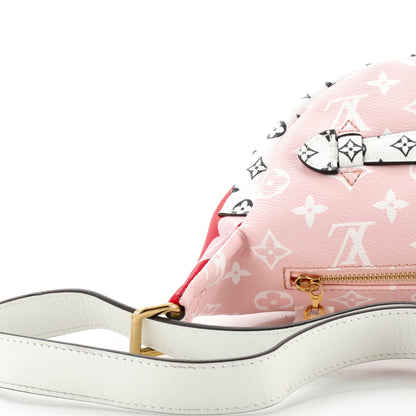 Louis Vuitton Bum Bag Limited Edition Colored Monogram Giant