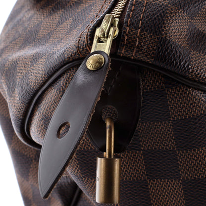 Louis Vuitton Speedy Handbag Damier 30