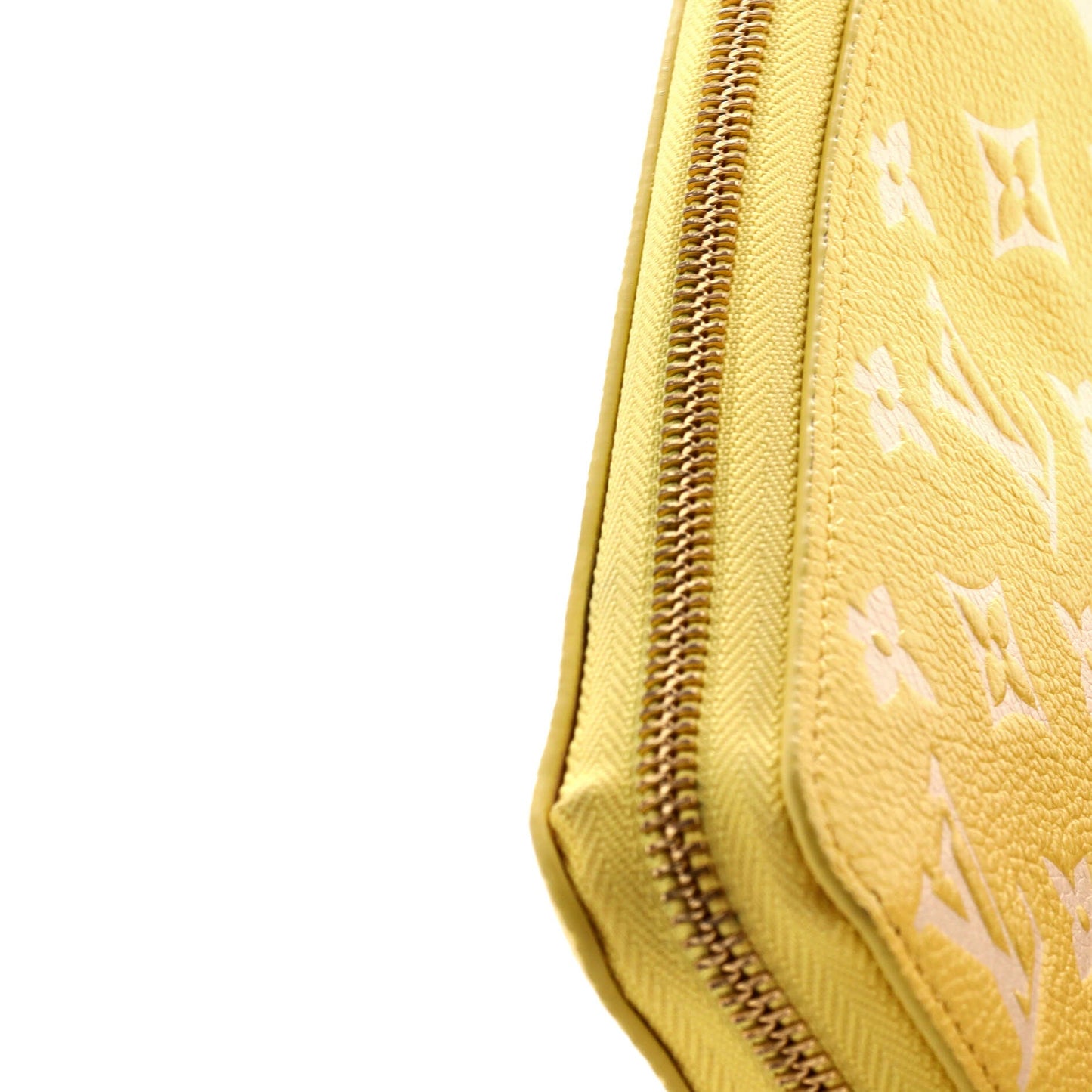 Louis Vuitton Zippy Wallet Spring in the City Monogram Empreinte Leather