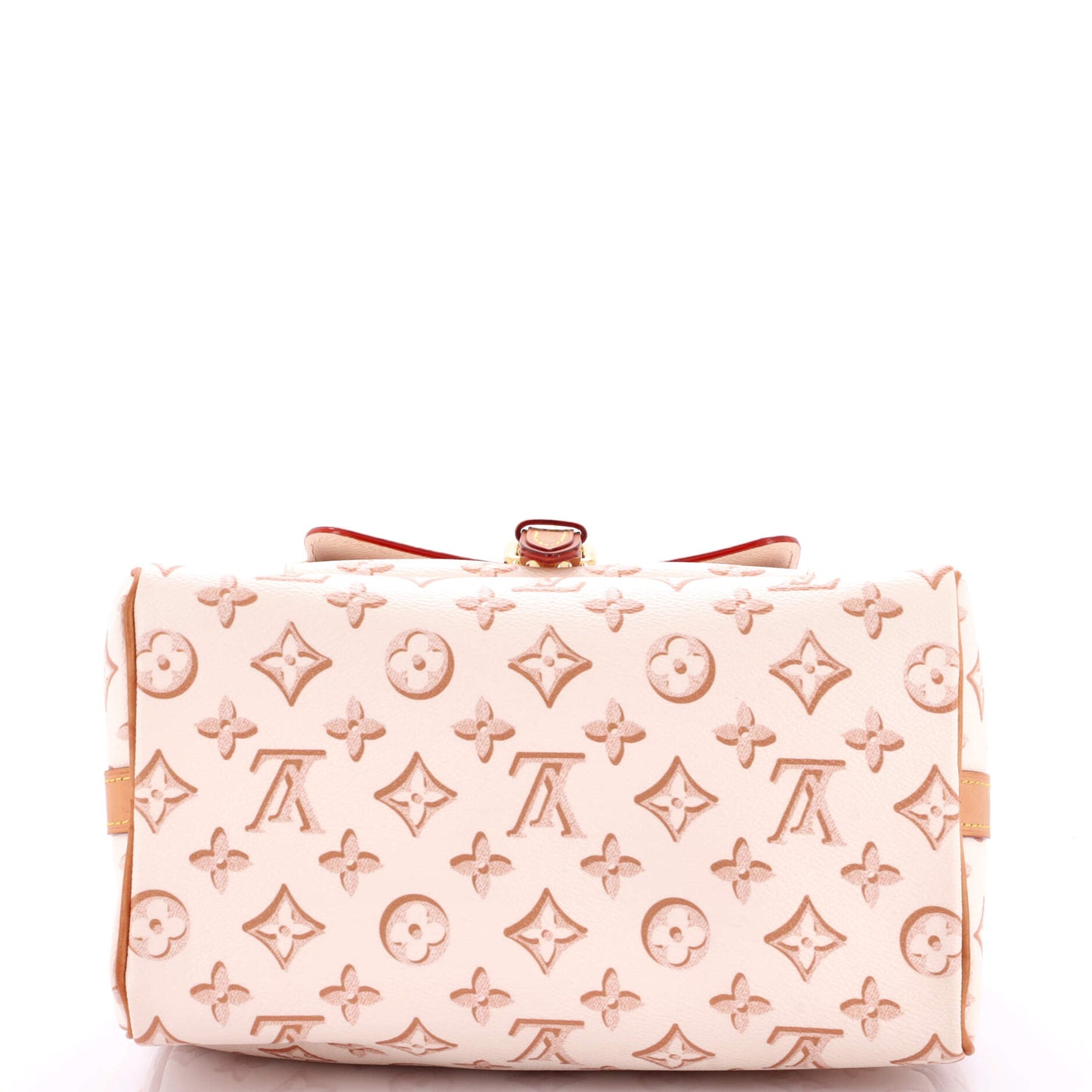 Louis Vuitton Speedy Bandouliere Bag Fall for You Monogram Canvas 25