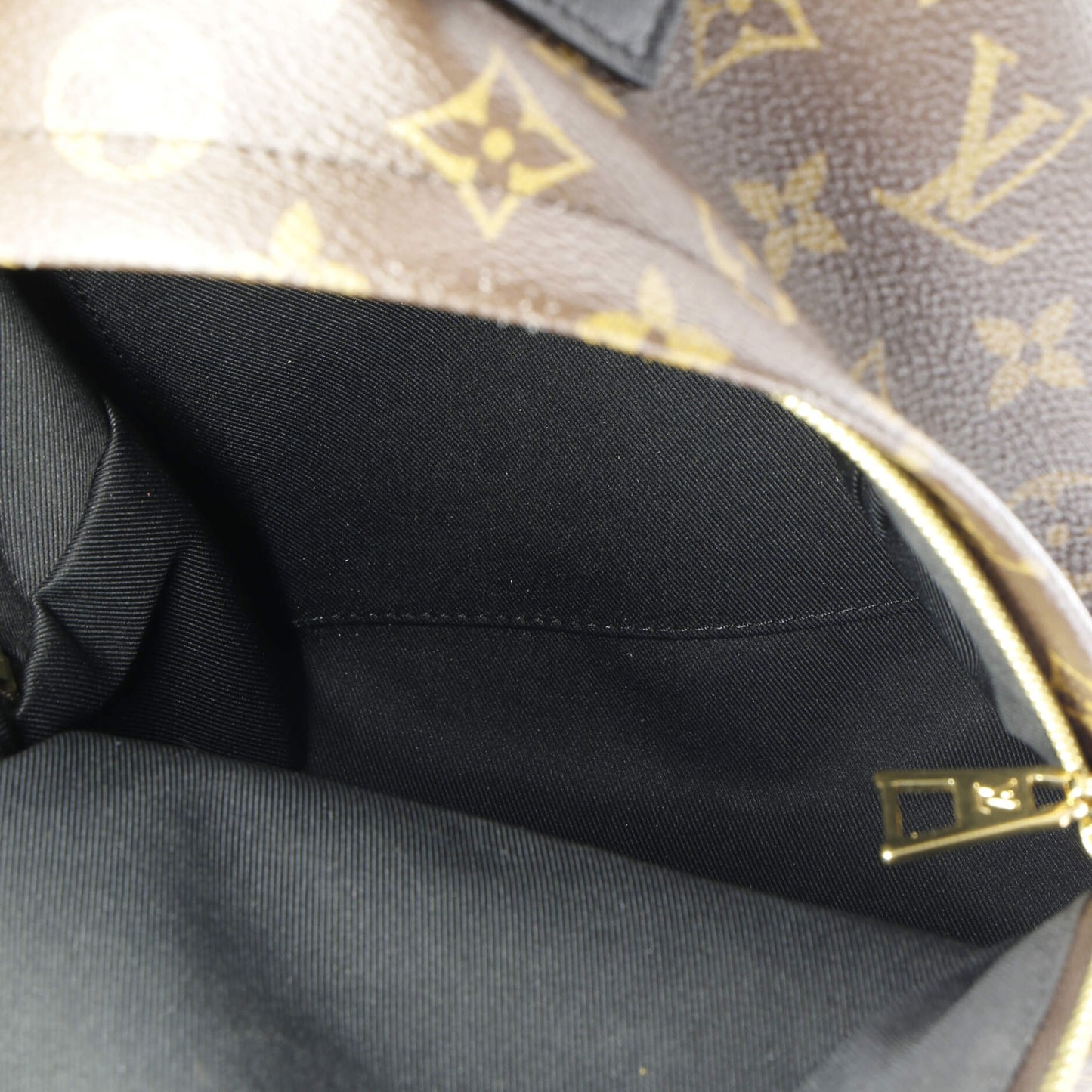 Louis Vuitton Palm Springs Backpack Monogram Canvas PM