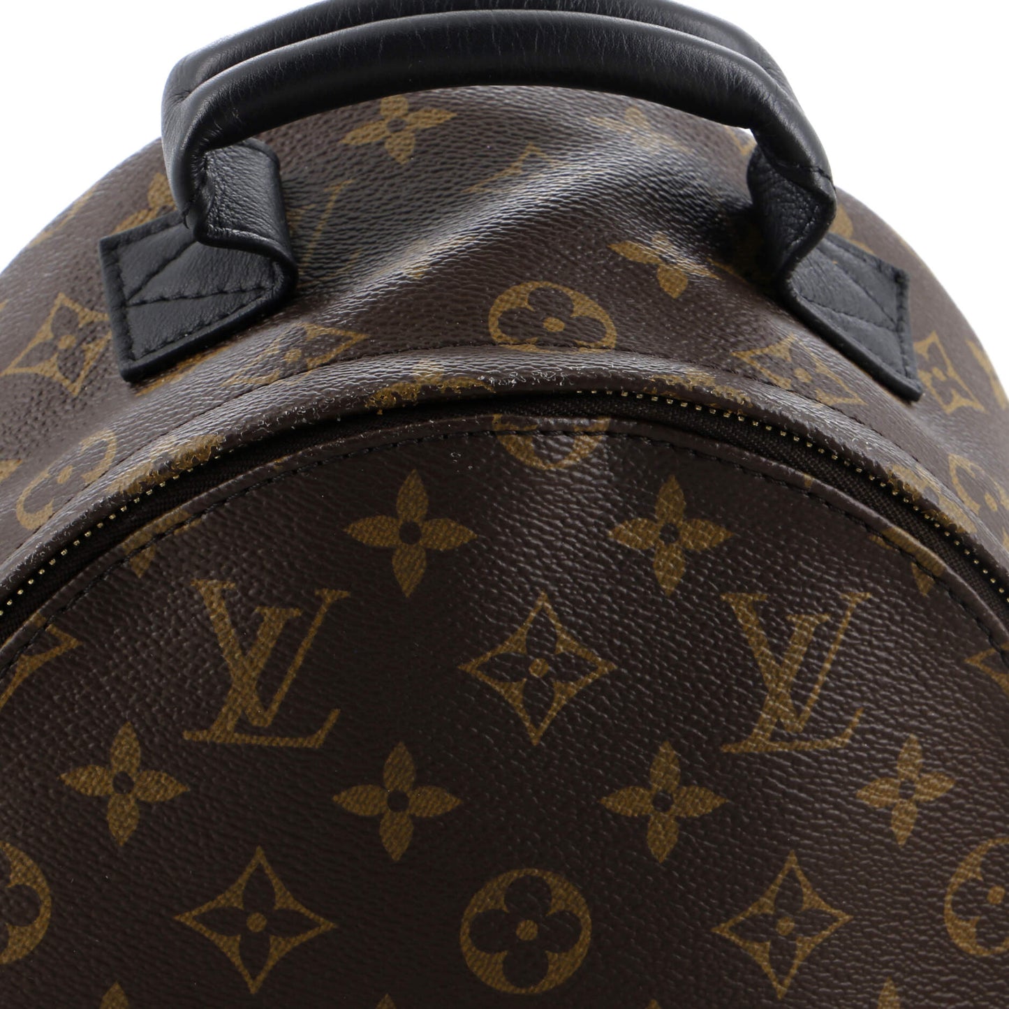 Louis Vuitton Palm Springs Backpack Monogram Canvas PM