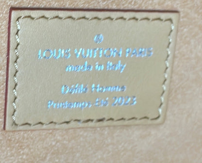 Louis Vuitton Fortune Cookie Bag Monogram Leather and Printed PVC