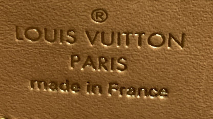 Louis Vuitton Pochette Metis Monogram Dune Canvas East West