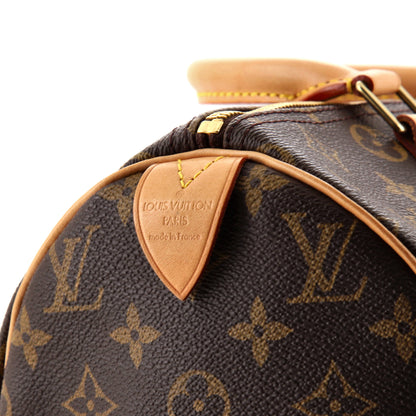 Louis Vuitton Speedy Handbag Monogram Canvas 30