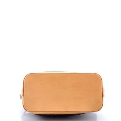 Louis Vuitton Lockit Handbag Monogram Canvas PM